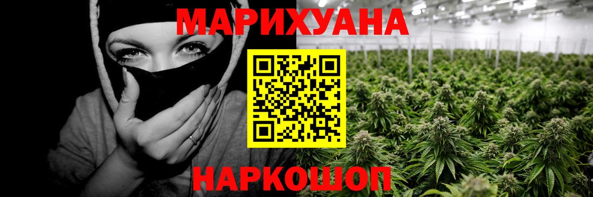 Бошки Шишки планчик Краснокаменск